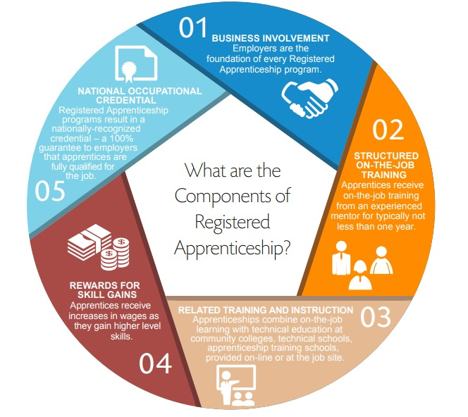 What are the components of registered apprenticeship?