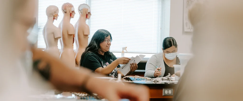 Two students sit at a table in a well-lit classroom, actively participating in an anatomy lesson. One student, wearing glasses and a black T-shirt, holds a piece of paper and appears to be discussing the content. The other student, wearing a gray sweater and a face mask, is focused on a hands-on activity involving anatomical models and study tools. In the background, multiple torso models with exposed brains and facial structures are lined up against the wall. The foreground is slightly blurred, adding depth to the image, suggesting an immersive and interactive learning environment.